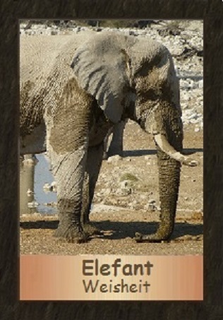 Elefant