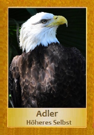 Adler