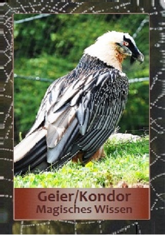 Geier