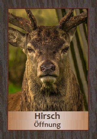 Hirsch