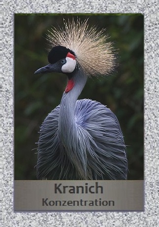 Kranich
