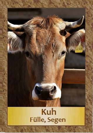 Kuh