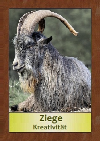 Ziege